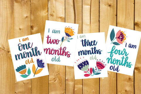Baby Milestone Cards- Floral, Digital Download